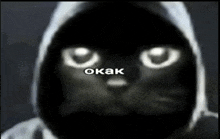 a black cat wearing a white hoodie with the word okak written on it
