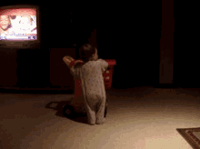 Baby Oops GIF - Baby Oops Fail GIFs