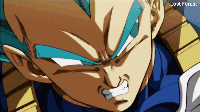 SSJ Blue Vegeta MAX POWER Final Flash vs. Jiren!(Subbed) - HD on Make a GIF