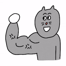 animal kitty cat cute fat animal kitty cat cute fat