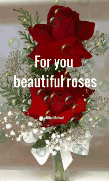 roses beautiful