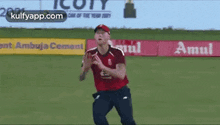 Relate This Moment Latest GIF - Relate This Moment Latest Cricket GIFs
