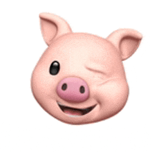 a close up of a pig 's face winking .