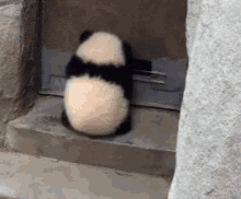 Panda Door GIF - Panda Door Hide GIFs