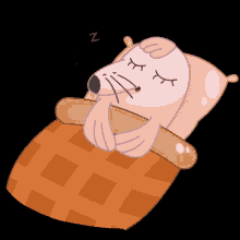 Sleeping Bedtime GIF - Sleeping Bedtime Snoring GIFs