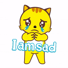yellow cat big eyes i%27m sad cry