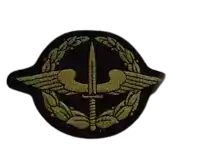 a patch with a sword and a wreath on it .