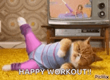 Workout Cat GIF - Workout Cat GIFs