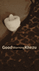 a leopard print blanket with the words " good morning khezu " on it