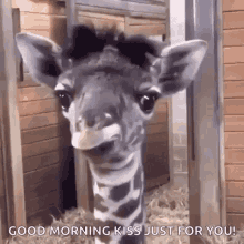 Good Morning Kiss Just For You GIF