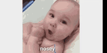 Nosey GIF - Nosey GIFs