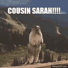 Sarah Cousin Sarah GIF - Sarah Cousin Sarah Cousin GIFs