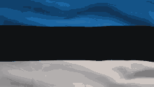 Estonian Flag GIF - Estonian Flag GIFs