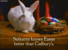 Easter Bunny GIF - Easter Bunny Cadburys GIFs