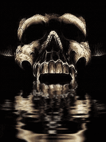 Santa Muerte Skull GIF - Santa Muerte Skull Death GIFs