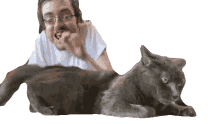 tapping on the cat ricky berwick ricky berwick channel play with the cat play with the pet