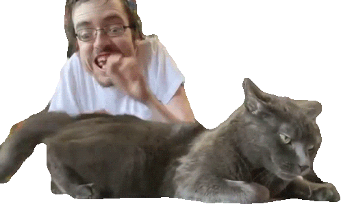 Tapping On The Cat Ricky Berwick Sticker - Tapping On The Cat Ricky Berwick Ricky Berwick Channel Stickers