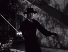 Zorro Marlon GIF - Zorro Marlon GIFs