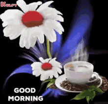 Good Morning Flowers GIF - Good Morning Flowers Wishes GIFs