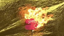 Maga Burn GIF - Maga Burn Cap GIFs