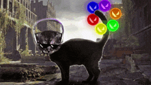 Valorant Cat GIF - Valorant Cat Infinity Stones GIFs