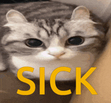 Sick Cat Blow GIF - Sick Cat Blow GIFs