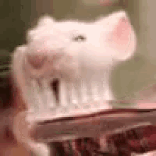 Toothbrush Mice GIF