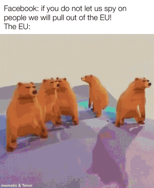 bear memes