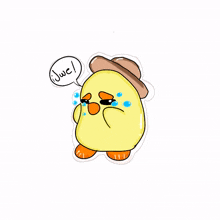 chicken animal upset sad cry