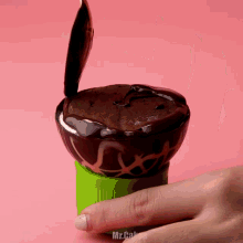 a close up of a person holding a chocolate donut with mr.cakes written on the bottom of the image