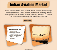 Indian Aviation Market GIF - Indian Aviation Market GIFs