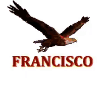 Francisco Eagle GIF - Francisco Eagle Fly GIFs