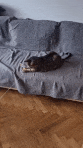 a cat is laying on a couch with a blanket on it .