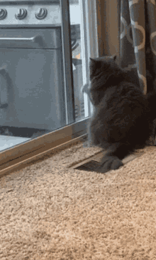 Cat Waving Bored GIF - Cat Waving Bored Window GIFs