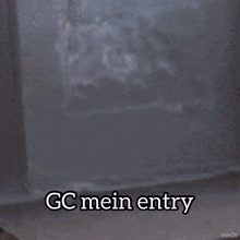 Gc Mein Entry Gc Mein Entry Cat GIF - Gc Mein Entry Gc Mein Entry Cat Cat Enter GIFs