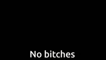 a picture of a robot with the words no bitches on it