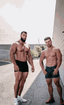 growth muscle giant