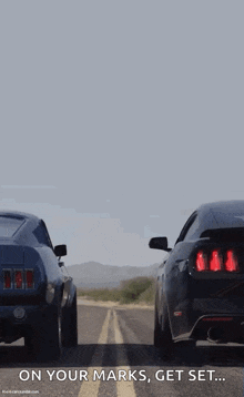 Mustang GIF - Mustang GIFs