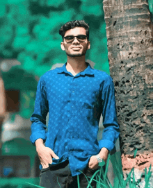 a man in a blue shirt and sunglasses leans against a tree
