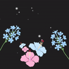 a black background with pink and blue flowers and the word allah