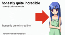 a picture of a girl with the words honestly quite incredible behind her