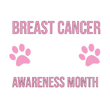 breast cancer awareness month danspetcare