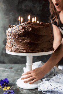 Cake Chocolate Cake GIF - Cake Chocolate Cake Chocolate GIFs