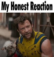 My Honest Reaction Wolverine GIF