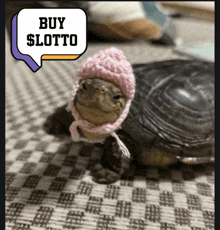 a turtle wearing a pink knitted hat with a speech bubble that says buy $ lotto
