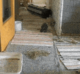 a rabbit is sitting on a rug on the floor in a room .