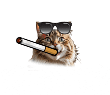 a cat wearing sunglasses and a cigarette in its mouth