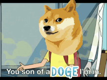 Son Of A Im In GIF - Son Of A Im In Doge GIFs
