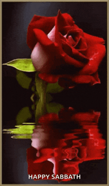 Red Rose For You GIF - Red Rose For You Love You GIFs
