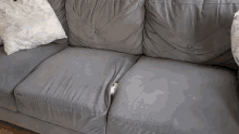 Cat Hides Amidst Sofa Cushions GIF - Cat Hides Amidst Sofa Cushions GIFs